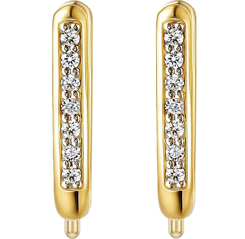Earrings SUP-E-002