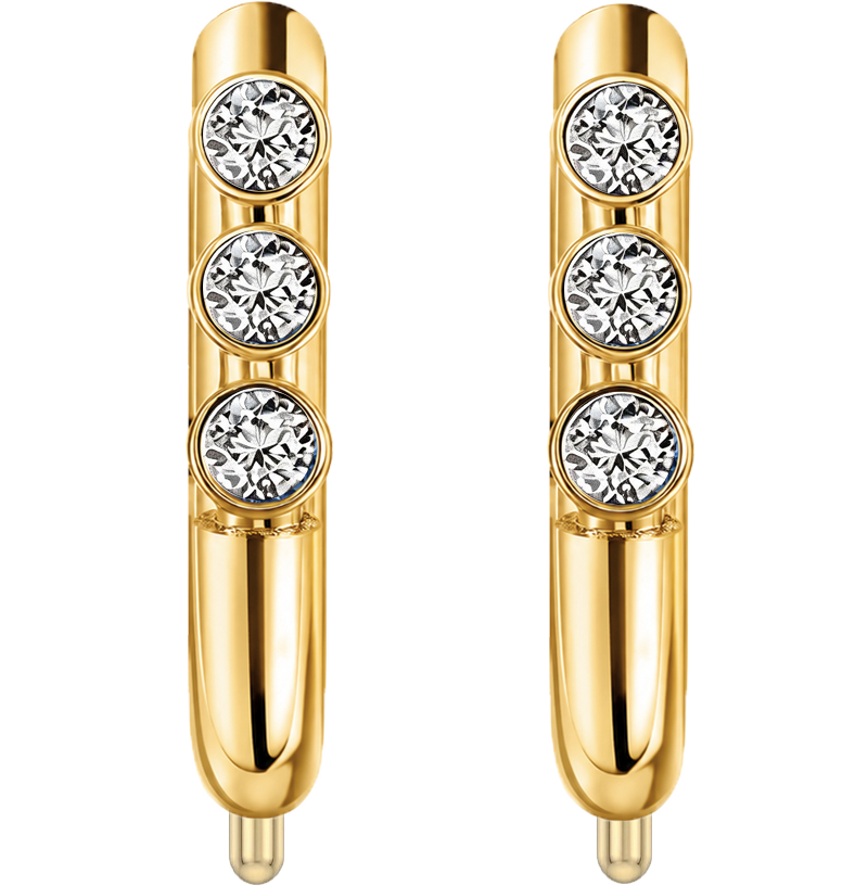 Earrings SUP-E-004